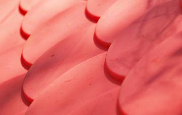 Coneysthorpe plastic roof costs