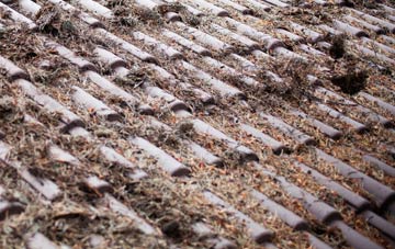 Coneysthorpe roof cleaning companies